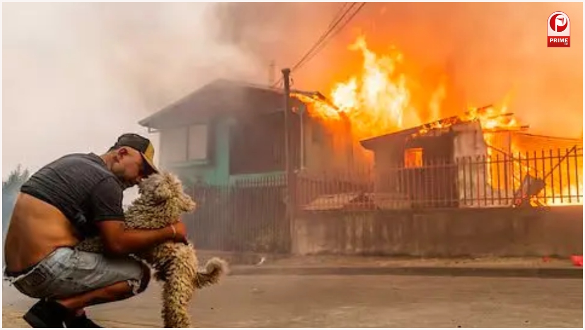 Chile Wildfire