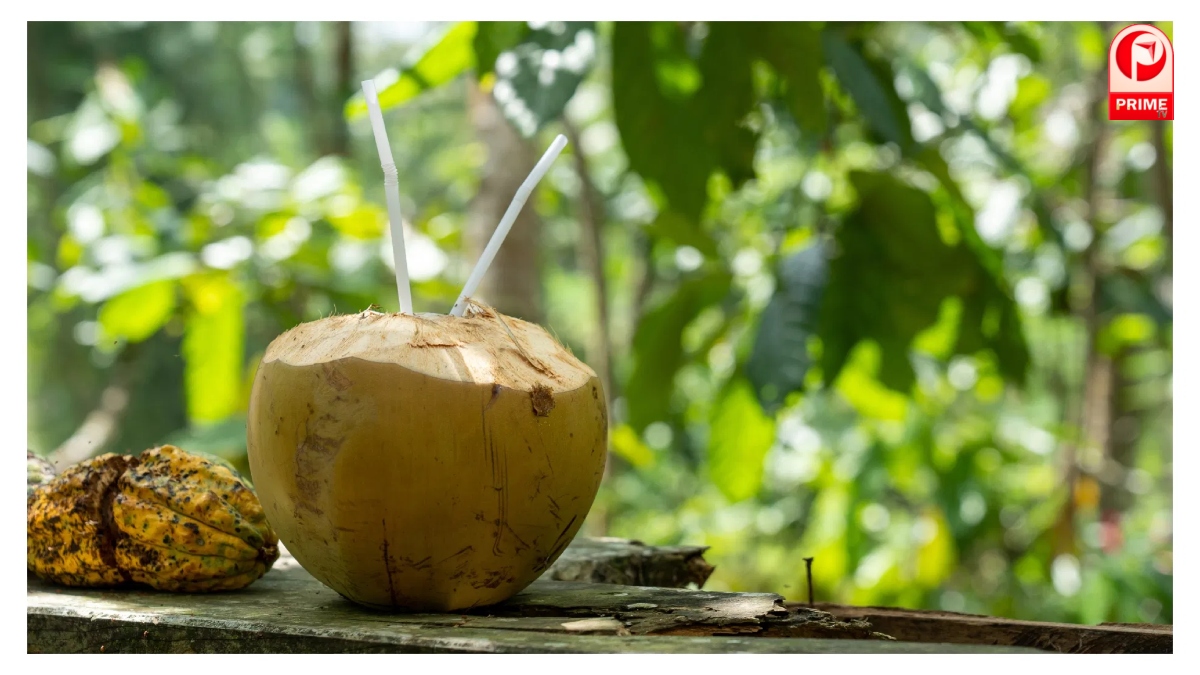 Coconut Water in Winters