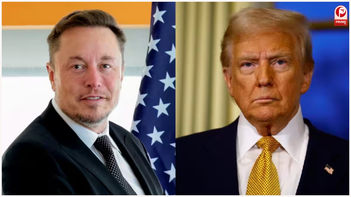 Elon Musk vs Donald Trump