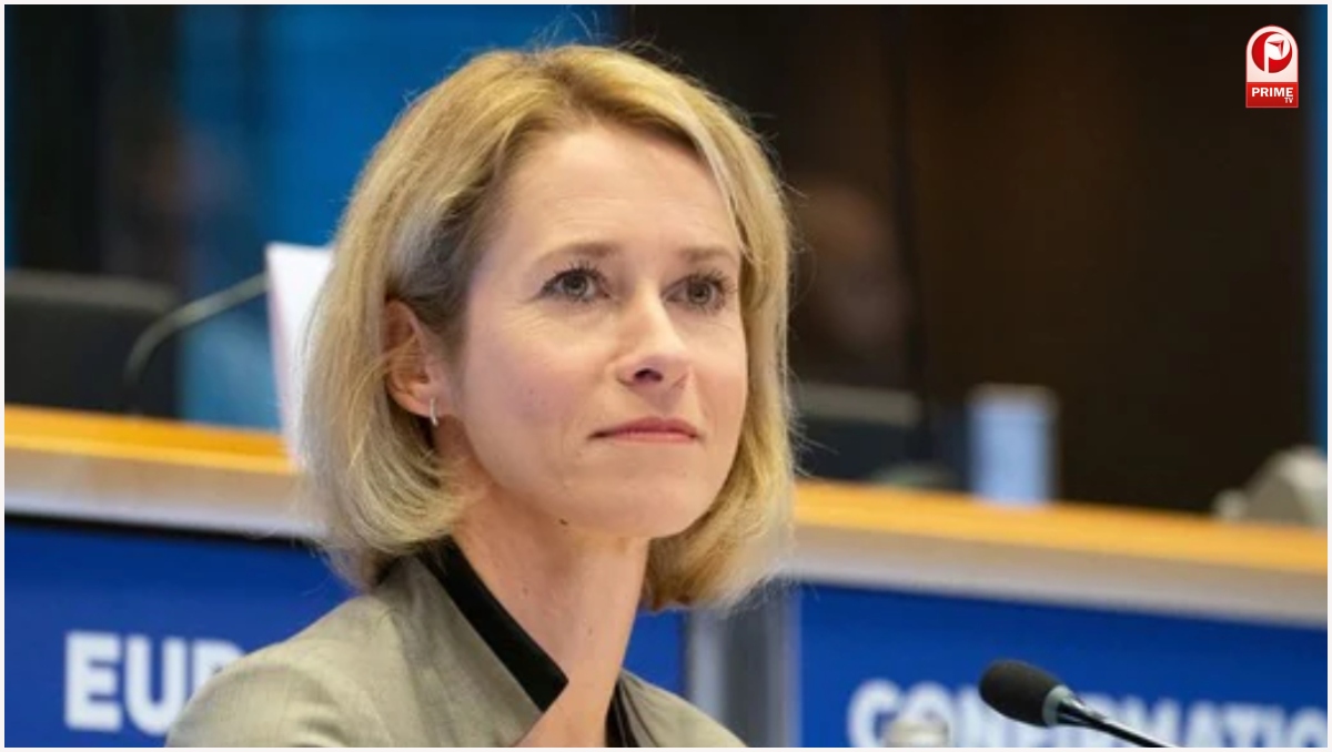 NATO Internal Split