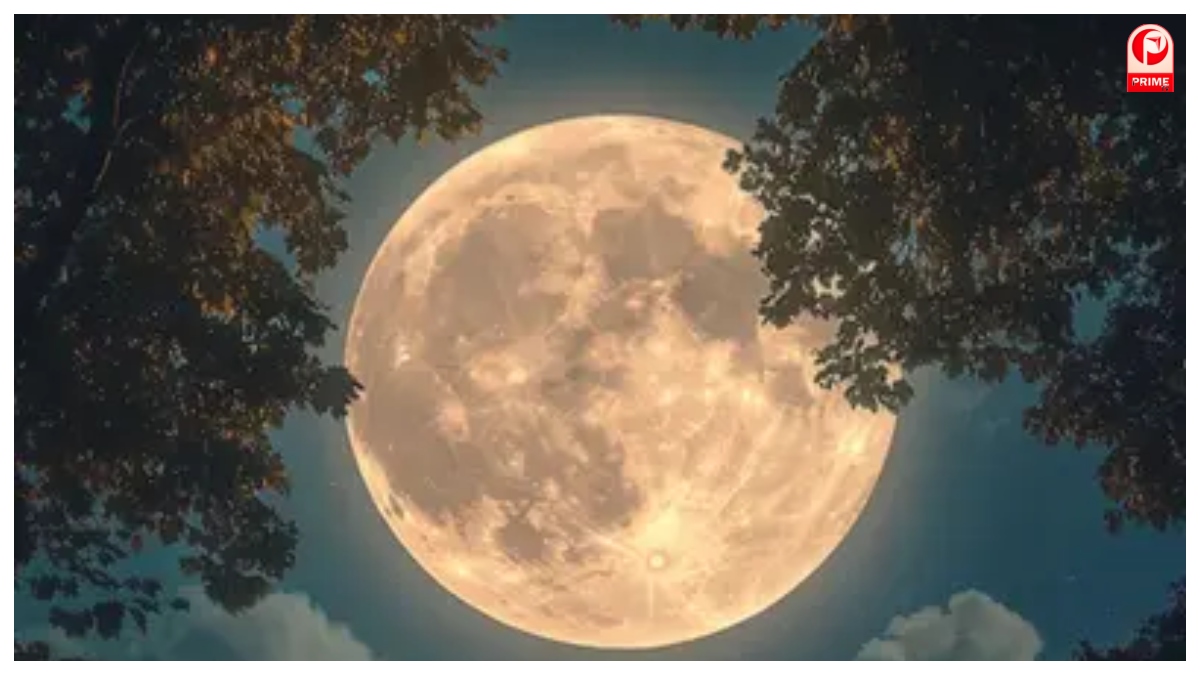 Magh Purnima 2026 