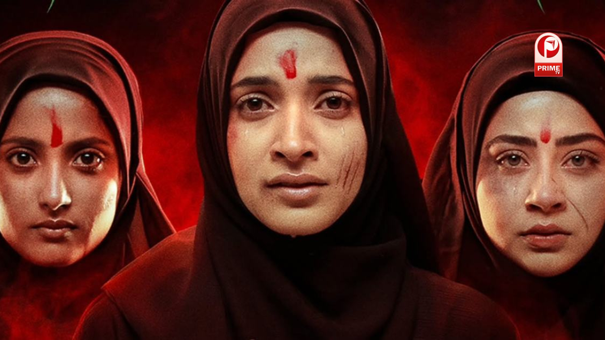 Box Office Collection