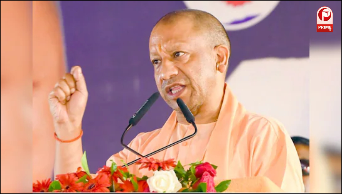 चीनी मांझा क्यों है खतरनाक