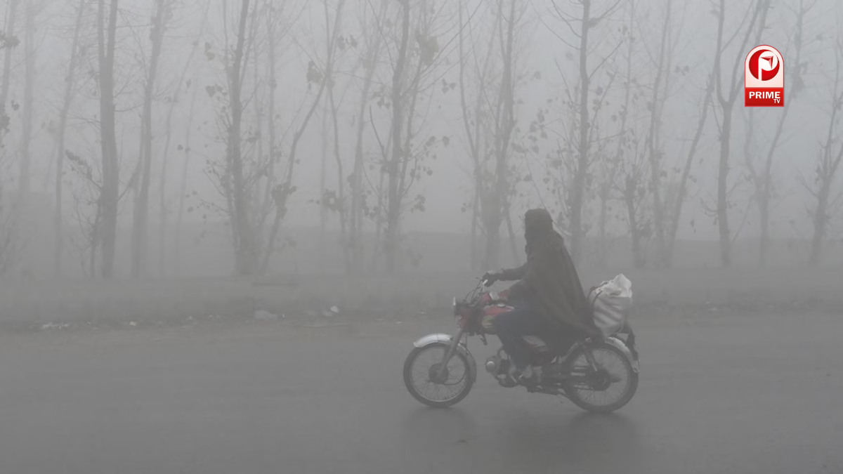 तीन राज्यों में खास बढ़ोतरी