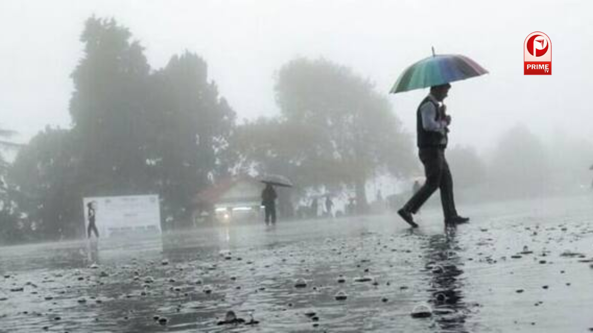 होली से पहले मौसम हुआ उथल-पुथल