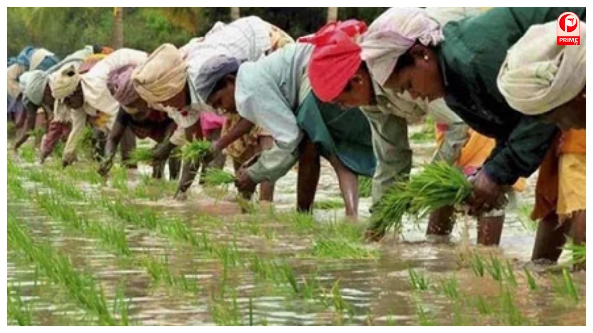 PM Kisan Yojana