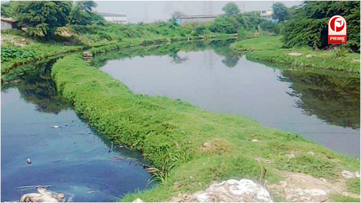 खेल और सामुदायिक सुविधाओं का विस्तार