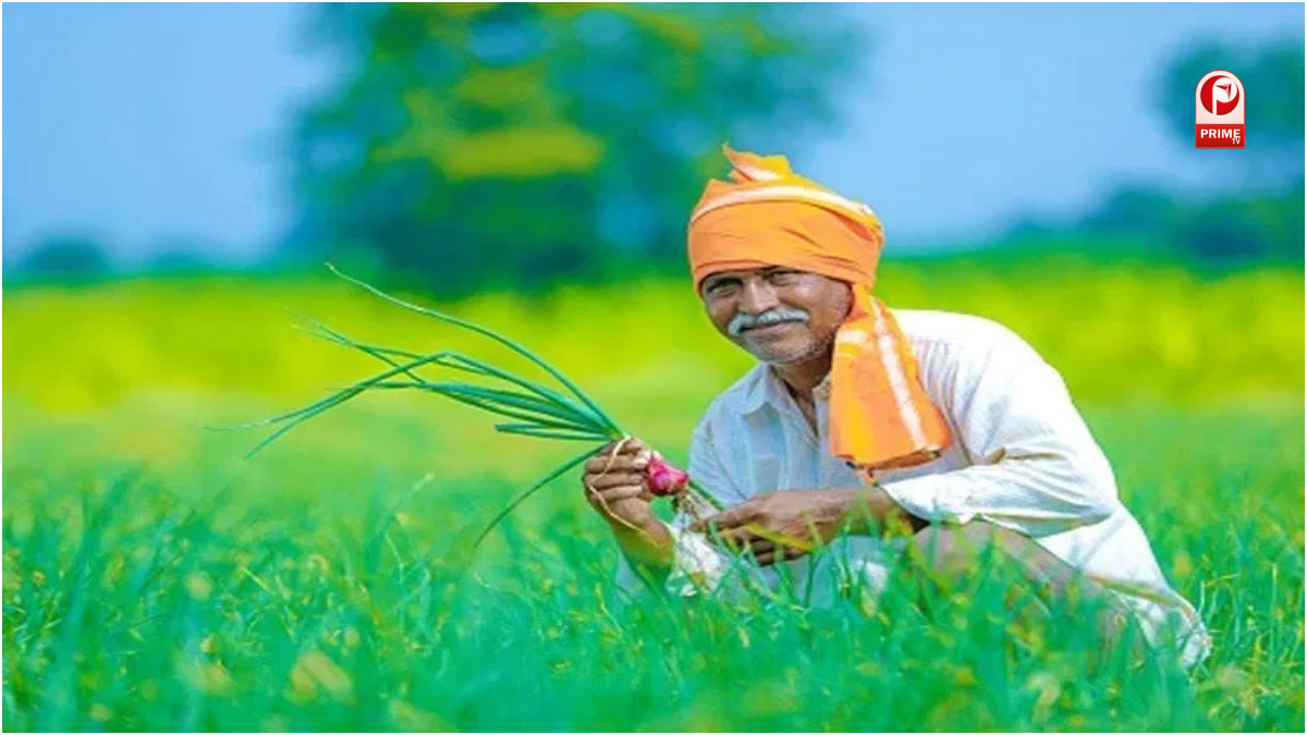 किन जिलों से सबसे ज्यादा आवेदन