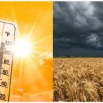 हरियाणा में 45 डिग्री पार तापमान