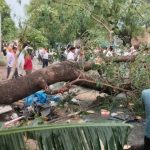 UP Weather Havoc