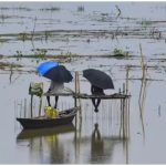 Assam Flood 2026