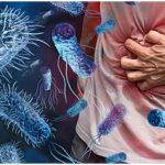 Shigella Outbreak Kerala