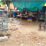 Varanasi Meat Ban News