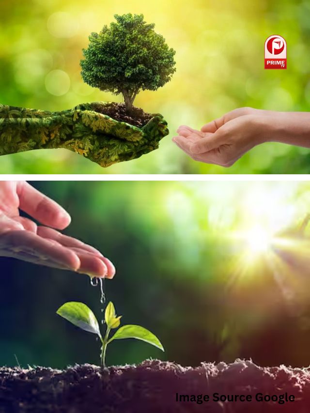 पर्यावरण दिवस क्यों है सबसे खास?