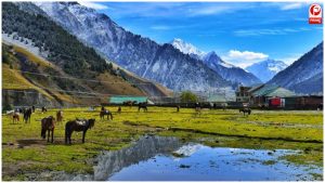 पहलगाम: यात्रा का पारंपरिक और खूबसूरत मार्ग