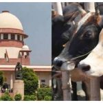 Ban on cow slaughter