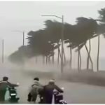 दिल्ली समेत कई राज्यों में बारिश, तेज हवाओं की चेतावनी