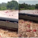 Raigad Flood News